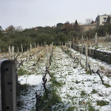 Malicodia Villa Santa Maria di Licodia Eksteriør billede