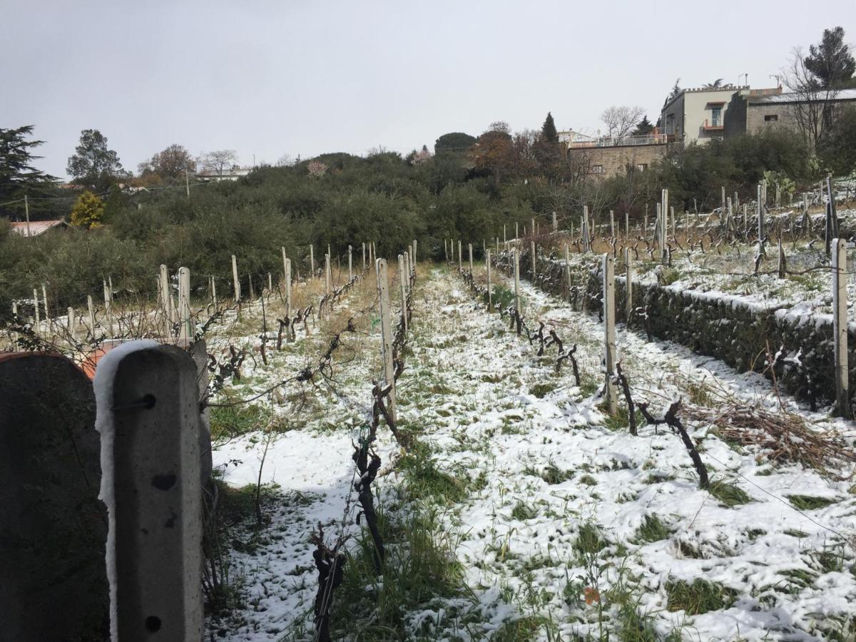 Malicodia Villa Santa Maria di Licodia Eksteriør billede