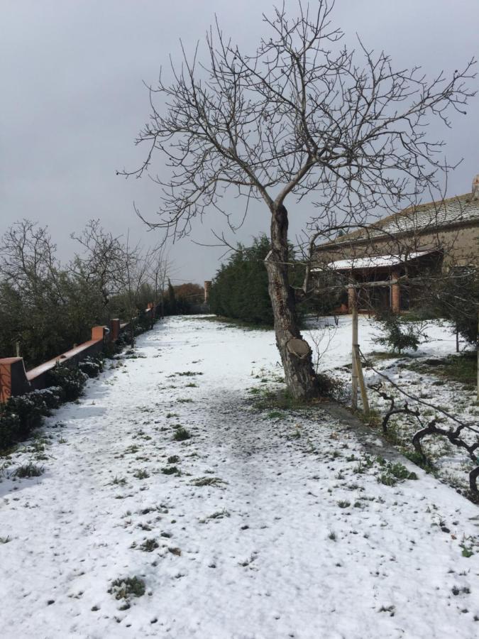 Malicodia Villa Santa Maria di Licodia Eksteriør billede